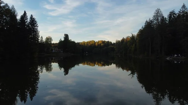 Una Splendida Vista Lago Riflettente Circondato Alberi Verdi Durante Alba — Foto Stock