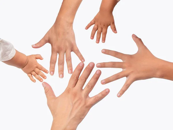 Tangan Anggota Keluarga Dengan Latar Belakang Putih Konsep Keluarga — Stok Foto