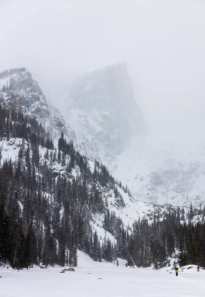 Μια Κάθετη Λήψη Από Χιονισμένα Πεύκα Στο Εθνικό Πάρκο Ρόκι — Φωτογραφία Αρχείου