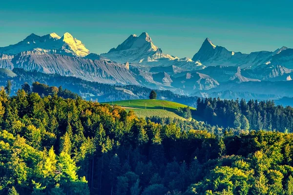 Eine Grasbewachsene Wiese Mit Einem Bewaldeten Hügel Hintergrund Einem Sonnigen — Stockfoto