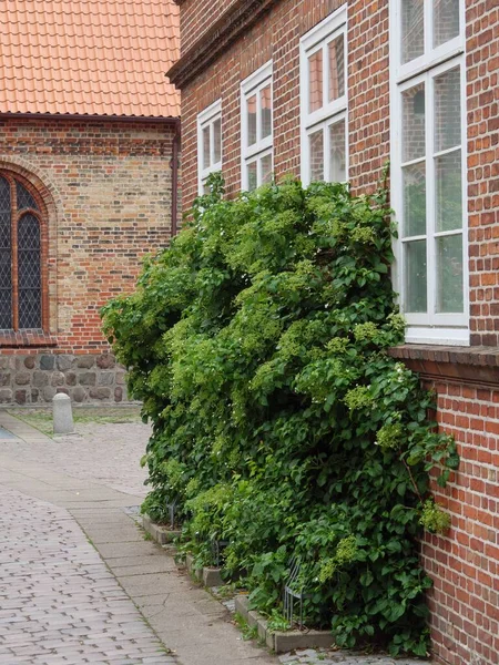 Eine Schöne Aufnahme Einer Hauswand Die Außen Mit Grünen Pflanzen — Stockfoto