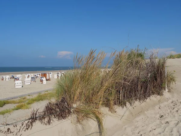 Eine Hüttenlandschaft Strand Umgeben Von Viel Grün Spiekeroog Deutschland — Stockfoto