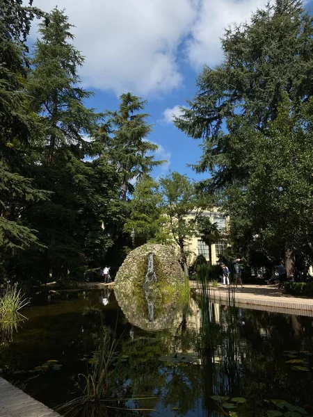 Eine Vertikale Aufnahme Eines Stadtparks Mit Wasserteich Und Bäumen Bei — Stockfoto