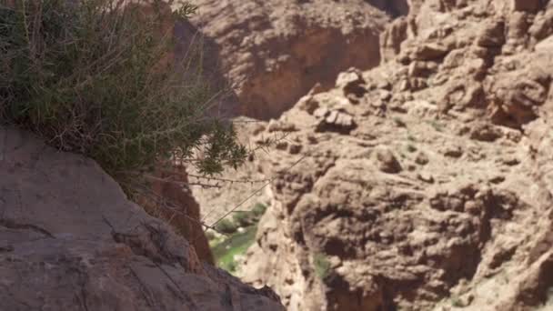 Pemandangan Dades Gorge Tertutup Rumput Kering Bawah Sinar Matahari Maroko — Stok Video