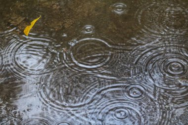 Yağmur birikintisindeki dalgaların yakın çekimi.