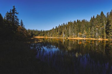 Svartdal Stjerna Gölü, Totenaasen Tepeleri, Oppland, Norveç 'te sonbahar boyunca ağaçlarla çevrilidir.