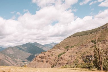 Güneşli bir günde arka planda dağ olan bir çim tarlasının manzara görüntüsü.