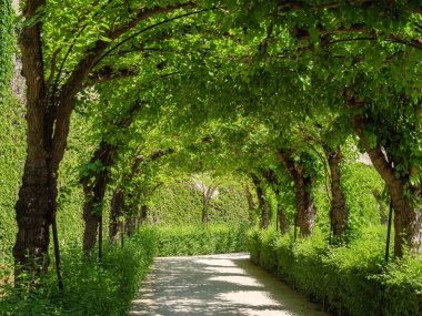 Almanya, Wurzberg 'deki Wurzberg Konutu' nun güzel bir görüntüsü.