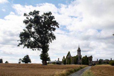 Clifden Kalesi 'nin güneşli bir günde İrlanda' nın Cork ilçesindeki manzarası.