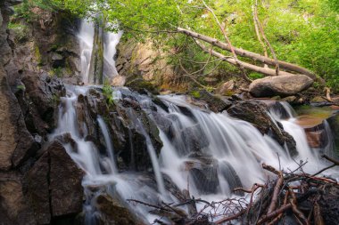 Ormandaki güzel şelale. Hunter Creek Falls, Reno, Nevada, ABD.