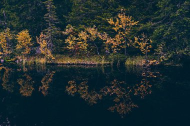 Svartdal Stjerna Gölü 'nün güzel bir manzarası ve sudaki yansıması ile sonbahar yaprakları.