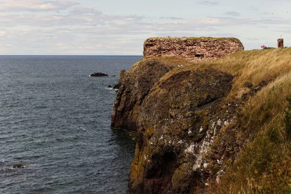 Высокоугольный Снимок Мшистой Скалы Над Водой Северном Бервике Шотландия Великобритания — стоковое фото