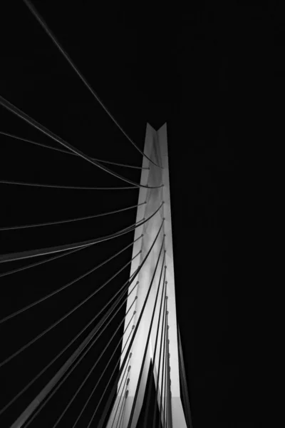 オランダのロッテルダムにあるErasmusbrug橋のケーブルを持つ極の低い角度夜空の下 — ストック写真