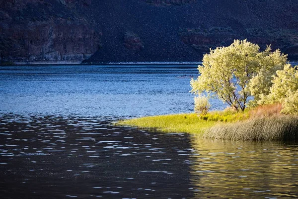 Beautiful Shot Blue Lake Washington Usa — Stock Photo, Image