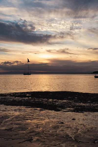 Μια Κάθετη Λήψη Του Ηλιοβασιλέματος Στην Παραλία Θαλασσογραφία — Φωτογραφία Αρχείου