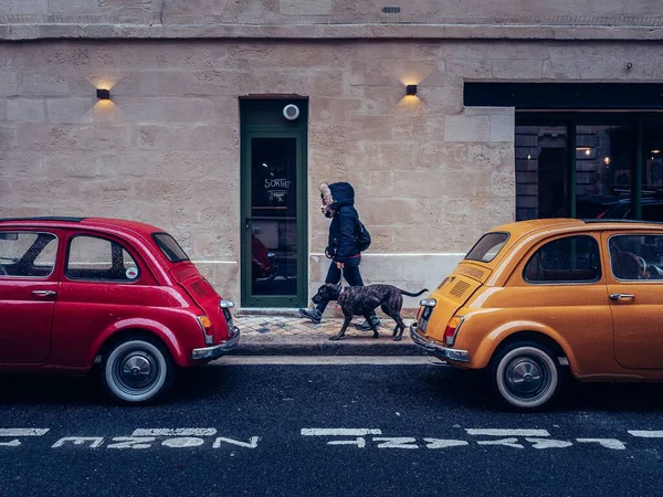 Человек Гуляющий Собакой Улицам Нанта Франции — стоковое фото