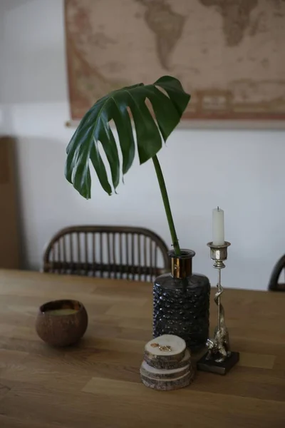 テーブルの上にろうそくやその他のオブジェクトと花瓶の中にモンスターの葉の閉鎖 — ストック写真