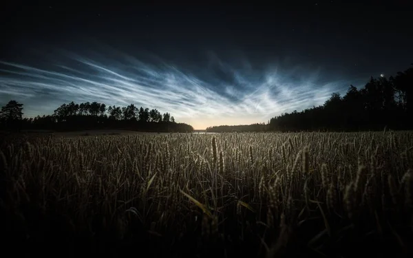 stock image A breathtaking view of the Northern lights or aurora borealis in Lieto, Finland