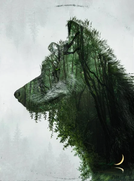 Vertical Illustration Wolf Filled Forest Isolated Grayish Background — Stock Photo, Image
