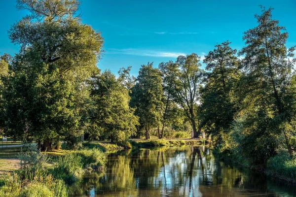 Красивый Пейзаж Реки Окруженной Деревьями Голубым Небом Парке — стоковое фото