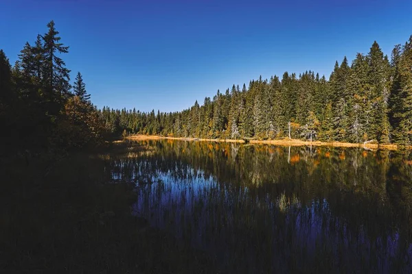 Jezioro Svartdal Stjerna Otoczone Drzewami Jesienią Totenaasen Hills Oppland Norwegia — Zdjęcie stockowe