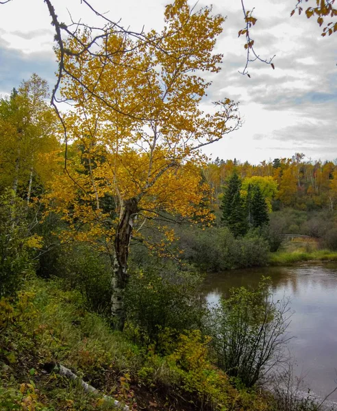 Una Hermosa Toma Coloridos Árboles Otoño Que Rodean Lago —  Fotos de Stock