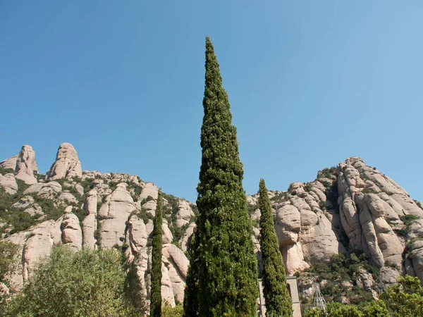 Uma Bela Vista Das Ciprestes Sob Montanha Rochosa Montserrat Catalunha — Fotografia de Stock