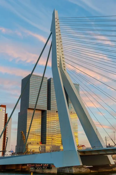 Puente Erasmus Rotterdam Los Países Bajos Con Edificio Rotterdam Fondo —  Fotos de Stock