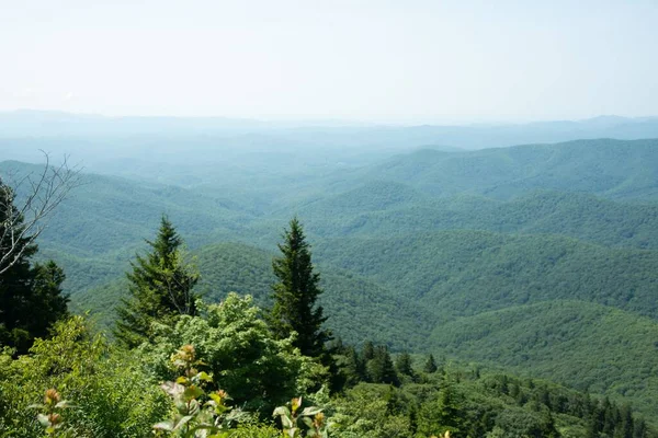 緑の植生に覆われた丘の美しい景色 アメリカの悪魔裁判所 — ストック写真