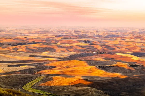 Piękny Złoty Zachód Słońca Nad Polem Pszenicy Wzgórzem — Zdjęcie stockowe