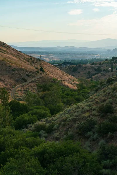 一片绿色植被的山坡纵断面 Hunter Creek Trail Reno Nevada Usa — 图库照片