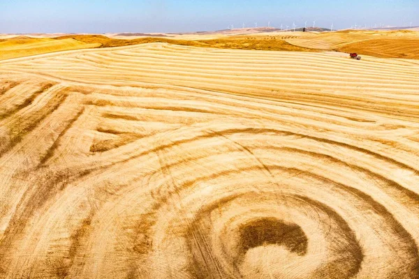 Aerial Shot Golden Wheat Fields Rolling Hills Palouse Region Washington — Stock Photo, Image