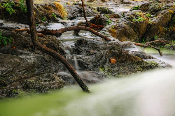 昼間は川の長時間露光 緑の森の滝 — ストック写真