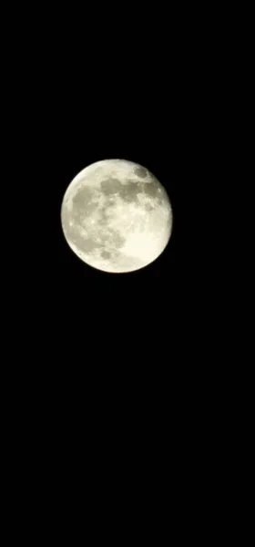 밤하늘에 보름달의 — 스톡 사진