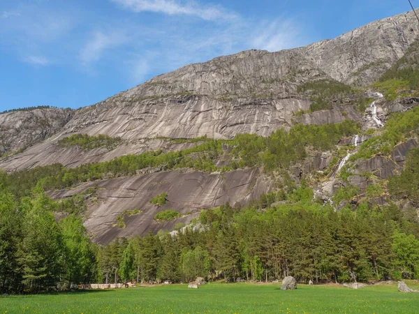 Lélegzetelállító Kilátás Zöld Mező Sűrű Erdő Ellen Sziklás Hegyek Fjord — Stock Fotó