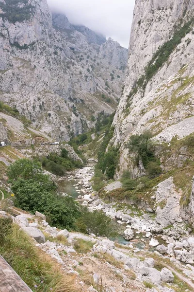 Een Adembenemend Uitzicht Rotsachtige Bergen Rio Del Cares Asturias Spanje — Stockfoto