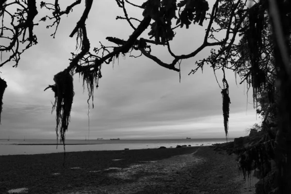 Вид Остров Уайта — стоковое фото