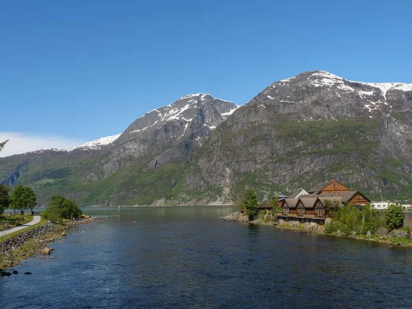 Letecký Pohled Řeku Obklopenou Budovami Hustými Stromy Norsku — Stock fotografie
