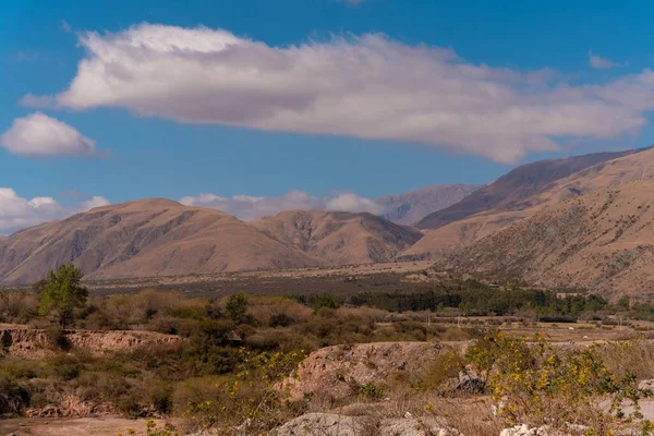 Вулканические Скалистые Горы Густыми Деревьями Джухуе Аргентина — стоковое фото