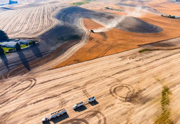 Aerial View Harvester Working Field Mows Wheat — Stock Photo, Image