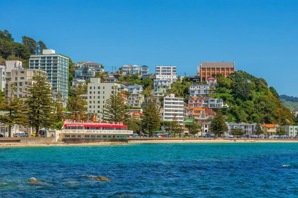 stock image A view from the Oriental Bay of sandy Freyberg Beach with buildings and lush green vegetation