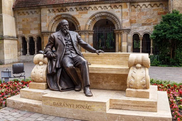 ハンガリーの政治家ダラニ イグナツの彫刻 — ストック写真