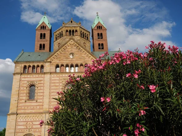德国斯皮尔斯皮尔大教堂的外立面 在蓝天下 有一丛丛粉红色的花 前景广阔 — 图库照片