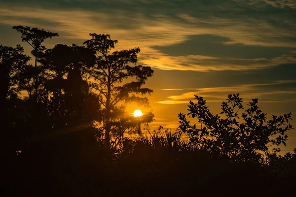 Fascinerande Bild Solnedgången Med Silhuetten Träden Förgrunden Och Orange Himmel — Stockfoto