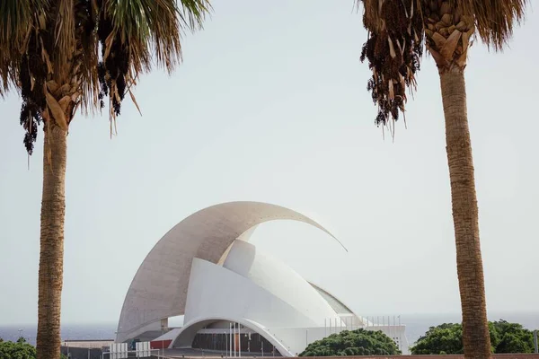 Santa Cruz de Tenerife şehrindeki ünlü Tenerife konser salonu.