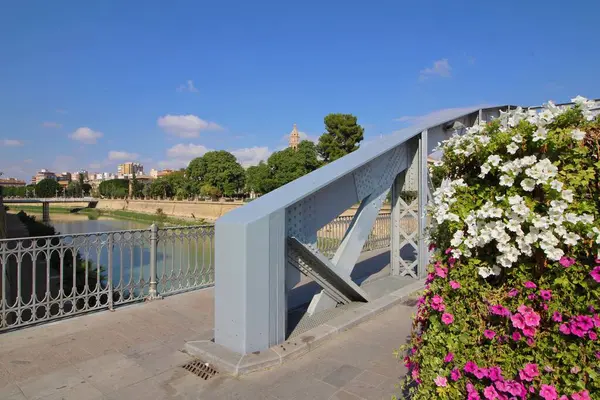 Una Hermosa Vista Ciudad Murcia Desde Puente Sobre Río España —  Fotos de Stock