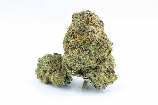 Eine Großaufnahme Von Cannabiskraut Isoliert Auf Weißem Hintergrund — Stockfoto
