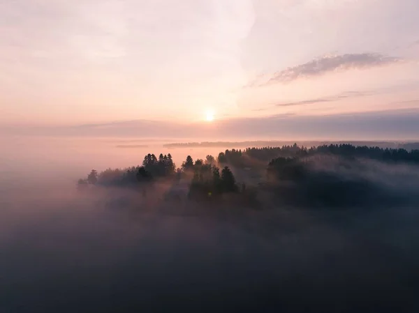 Una Vista Aerea Della Foresta Nebbiosa Con Abeti Lussureggianti Tramonto — Foto Stock