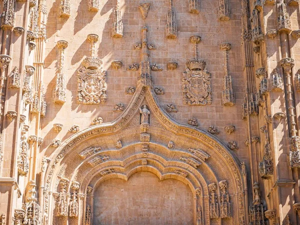 Close Dos Ornamentos Arquitetônicos Catedral Salamanca Salamanca Espanha — Fotografia de Stock