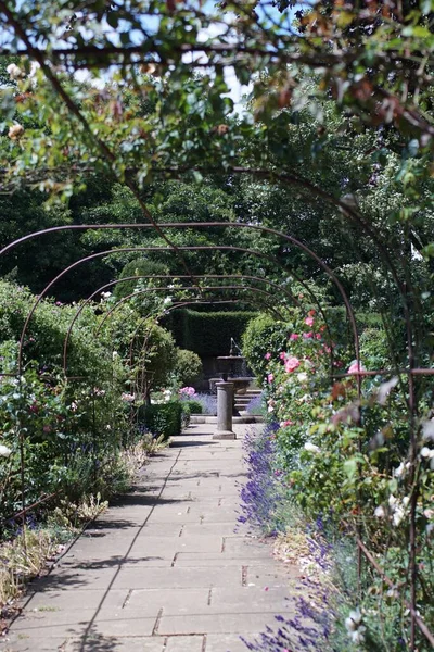晴れた日に歩道に沿って鋼の庭のアーチに登る緑の植物 — ストック写真